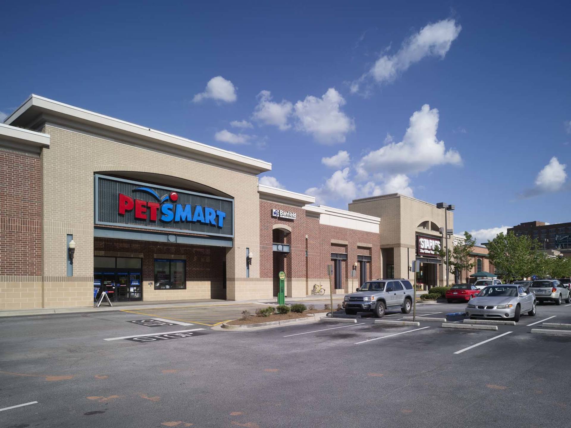 Petsmart midtown on sale