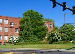 
                                	        Brumby Lofts
                                    